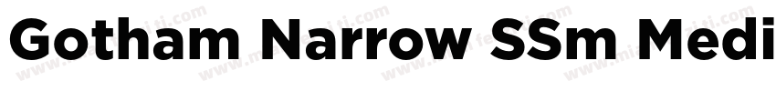 Gotham Narrow SSm Medium字体转换